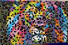 Picture Mosaics